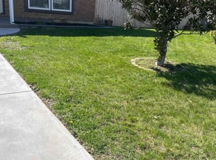 Cleanups by Susy Mia Nieto for Jose R. in New Castle, DE