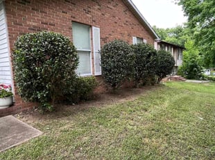 Bush Trimming by Nelson Lopez for Jennifer G. in Charlotte, NC
