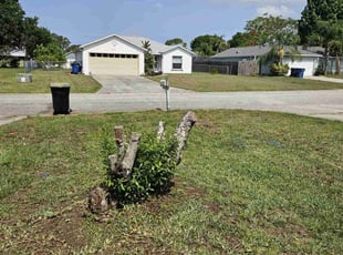 Bush Trimming by Jason Woytowitz for Amanda M. in Palm Bay, FL
