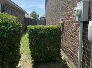 Sarah H.'s Bush Trimming service result