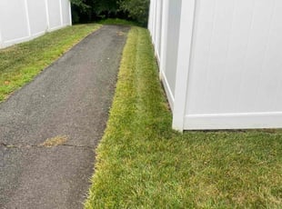 Russ V.'s Lawn Mowing service result