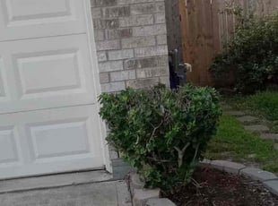 Bush Trimming by Roberto Pena for Broderick M. in Houston, TX