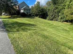 Catina A.'s Grass Cutting service result