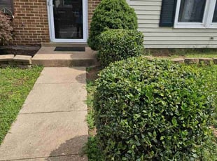 Anita G.'s Bush Trimming service result