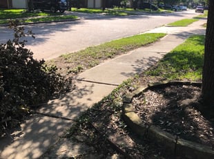 Leaf Removal by Chelle Estades for Joshua M. in Houston, TX