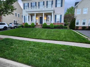 Aaron R.'s Lawn Mowing service result