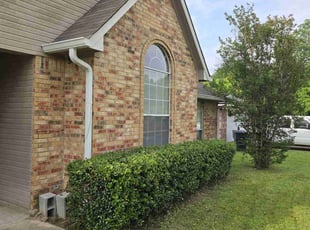 Bush Trimming by Antonio Scott for Shazondra L. in Shreveport, LA