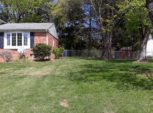 Cleanups by Kirk Swann for Shayan B. in Waldorf, MD
