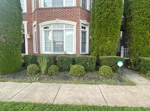 Bush Trimming by Walter Γlvarez for Damien S. in West Friendship, MD