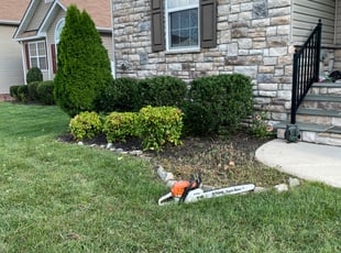 Cleanups by Chris Thomas for Lindsey W. in North Chesterfield, VA