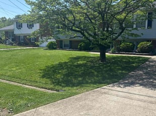 Tiffany H.'s Lawn Care service result