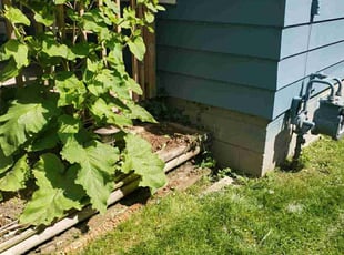 Weeding by Chris M for Thomas R. in Dearborn Heights, MI