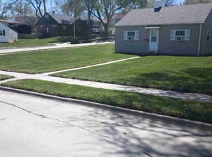 Joan E.'s Lawn Mowing Service service result