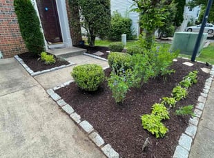 Weeding by Fidel Rodriguez for Sam B. in Alexandria, VA