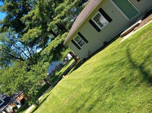 Tom S.'s Lawn Mowing service result
