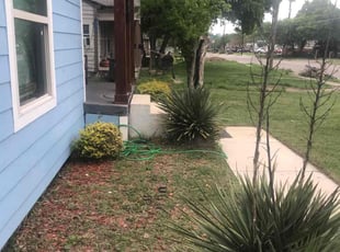 Weeding by Juan Uribe for Brigitte J. in Dallas, TX