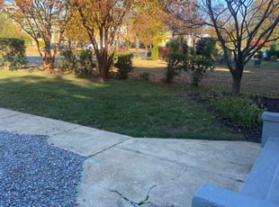 Leaf Removal by EV Jenkins-Benavides for William R. in Richmond, VA