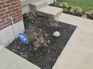 Weeding by Nicholas Weber for XHANA O. in West Chester, OH