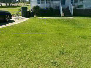 Bush Trimming by Billy Bryant for Joseph D. in Smithfield, NC