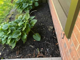 Weeding by Walter Γlvarez for Constance M. in Columbia, MD