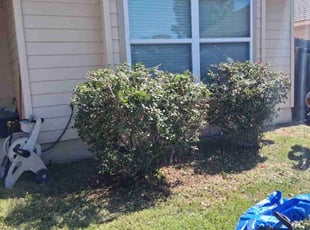Bush Trimming by Jason Salazar for Jennifer J. in San Antonio, TX