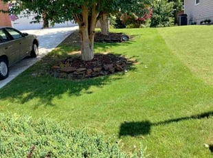 Resa C.'s Lawn Mowing service result