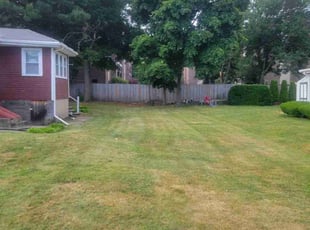 Shawana F.'s Lawn Mowing service result