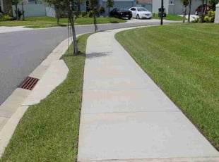 Claudia P.'s Yard Cutting service result