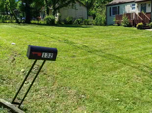Beth M.'s Lawn Mowing service result