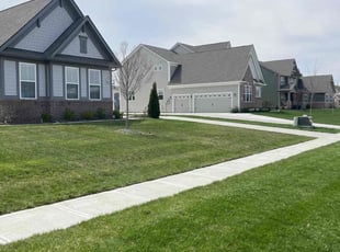 David T.'s Lawn Service service result