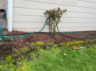 Weeding by James Lop for Anjali S. in Maple Valley, WA