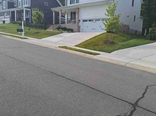 Andre C.'s Lawn Service service result
