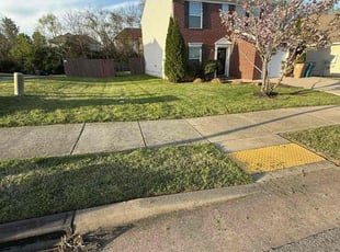 Antone M.'s Lawn Service service result