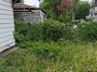 Bush Trimming by Tracey Martin for Jacquie B. in Chicago, IL