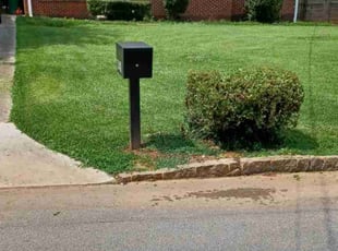 Bush Trimming by Tyry Crawford for William S. in Decatur, GA