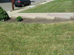 Cleanups by Jeffery Richardson for Megan M. in Cincinnati, OH