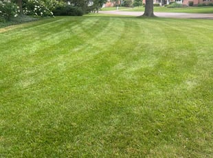 Ryan S.'s Grass Cutting service result