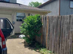 Bush Trimming by Samuel Hodge for Corey J. in Mesquite, TX