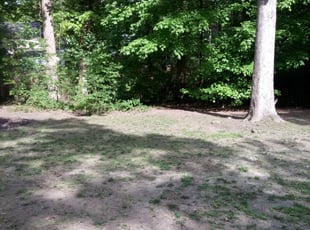 Leaf Removal by Antwain Jackson for Carol S. in Richmond, VA