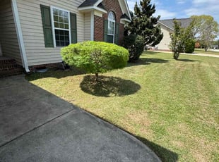 Bush Trimming by Kinnon Tatum for Jenelle A. in Raeford, NC
