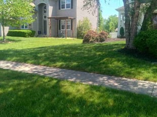 Sarah L.'s Lawn Care service result