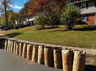 Leaf Removal by Angel P. for Monica W. in West Springfield, VA