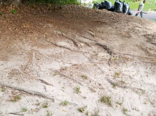Cleanups by Rod Arnold for Ashley O. in Tallahassee, FL