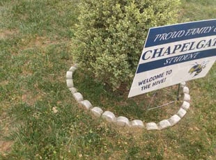 Weeding by Paul Landis for Elijah C. in Randallstown, MD