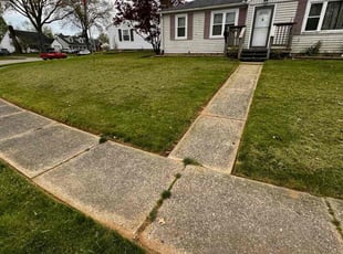 Vasila M.'s Yard Cutting service result
