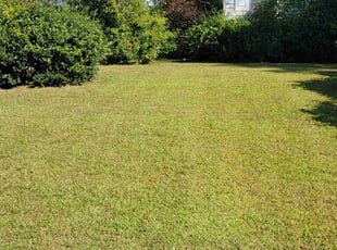 Gregory W.'s Lawn Maintenance service result