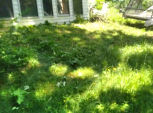Landscaping by Pete Conley for Abigail M. in Canton, OH