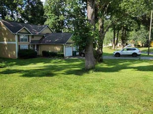 Teresa H.'s Lawn Mowing service result