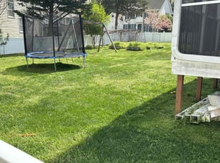 Jermaine P.'s Yard Cutting service result