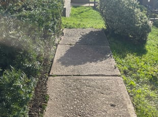 Bush Trimming by Dakota Cox for Samantha R. in Dunmore, PA